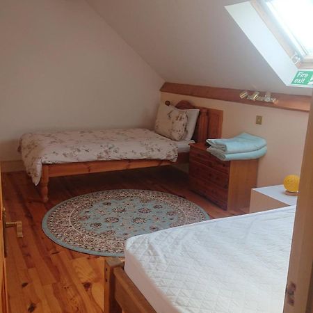 The Barn Annexe, Cefn-Yr-Allt Crickadarn Extérieur photo
