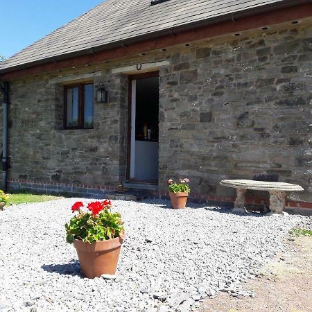 The Barn Annexe, Cefn-Yr-Allt Crickadarn Extérieur photo