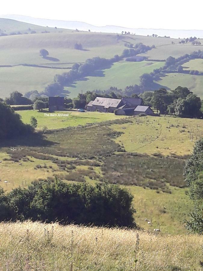 The Barn Annexe, Cefn-Yr-Allt Crickadarn Extérieur photo
