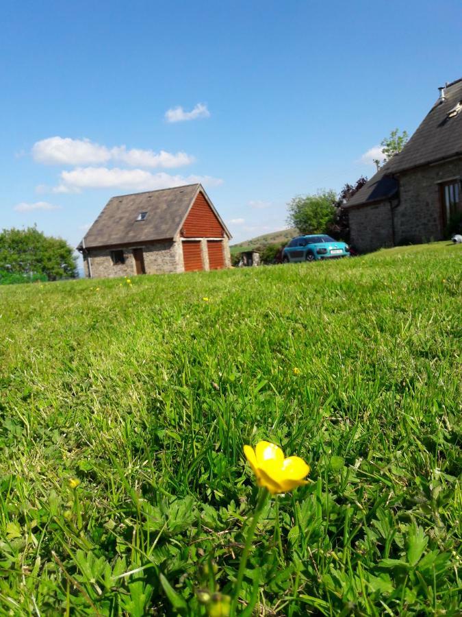 The Barn Annexe, Cefn-Yr-Allt Crickadarn Extérieur photo